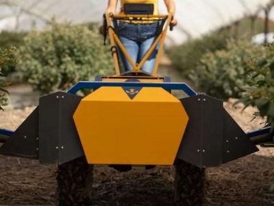 A tecnologia empregada pelos agricultores na tentativa de preservar as abelhas.