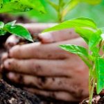 O emprego do hidrogênio verde pode contribuir para que o Brasil alcance seus objetivos de sustentabilidade.