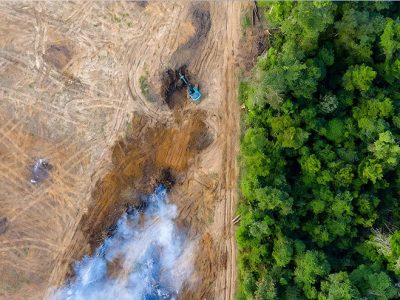 Brasil no Top 5 de Litigância Climática: Relatório Revela Posição do País