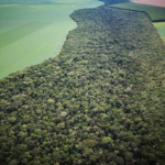 Obstáculos ao crescimento do agro sustentável