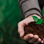 Deway Revoluciona o Mercado: Primeira Usina de Hidrogênio Verde no Metaverso Coloca Empresa Cearense entre as Melhores do Brasil