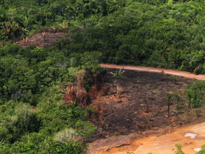 Pará lidera risco de desmatamento em 2025, aponta estudo do Imazon