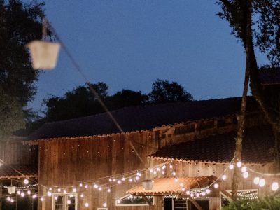 Villa Mandacarú: Amor, Natureza e um “Sim” que Planta Futuro
